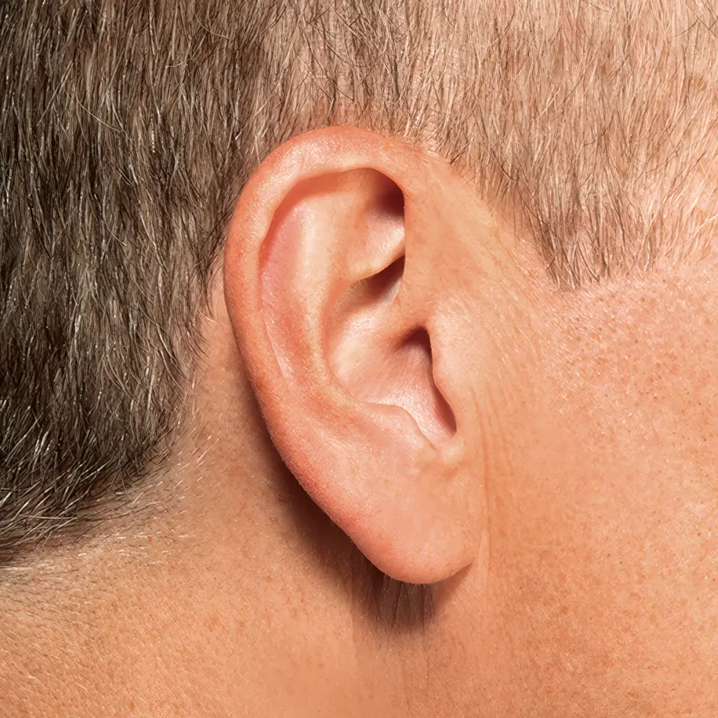 Close-up of a human ear with short, light-colored hair visible on the side of the head.